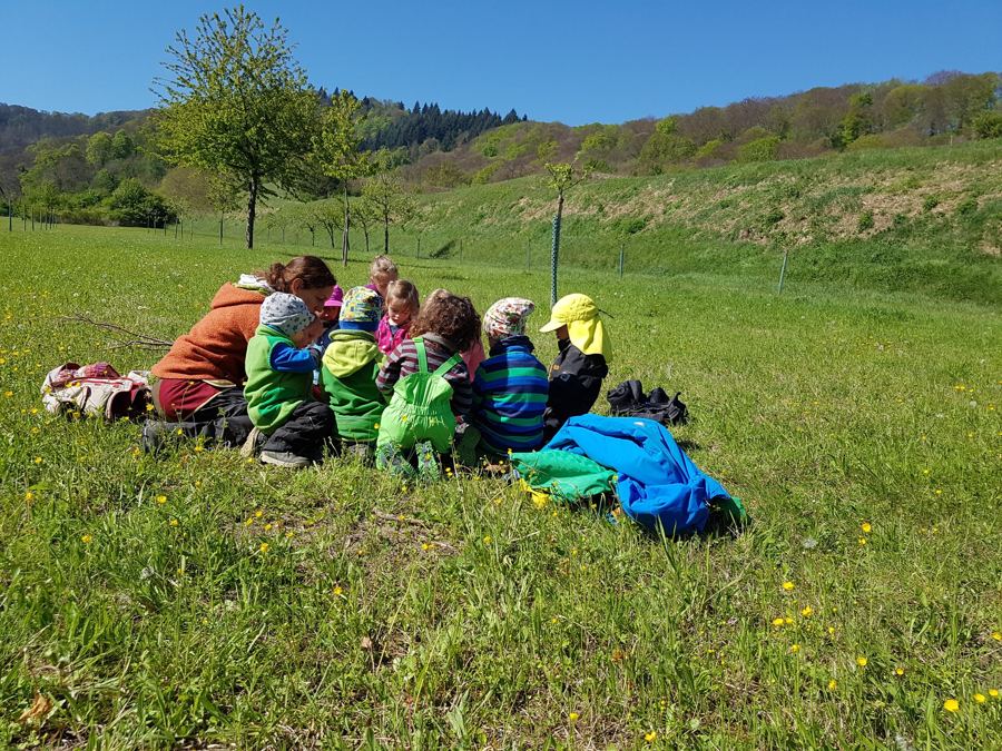 Erzieherin und Kinder sitzen im Kreis auf einer Frühlingswiese mit Löwenzahn