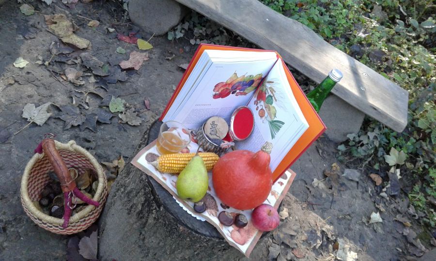 Herbsttisch auf einem Baumstumpf mit Kürbis, Maiskolben, Birne und Buch