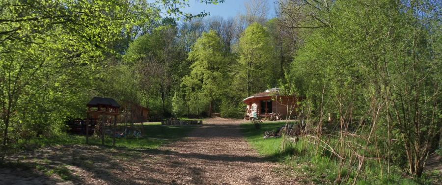 Waldweg zu Holzhütte und Spielhaus im frühlingsgrünen Wald